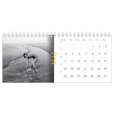 Skrivbordskalendrar — Historisk stil [omslag]