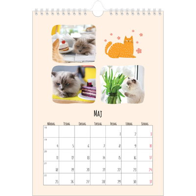 Fotokalender A4 Enkel (20 x 30 cm) — Kattassistentar och klotter [omslag]