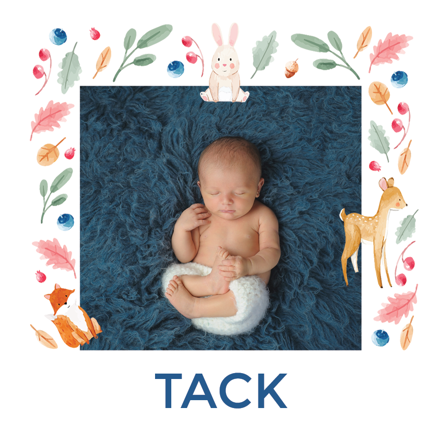 Tack — Skogsdjur tapeter