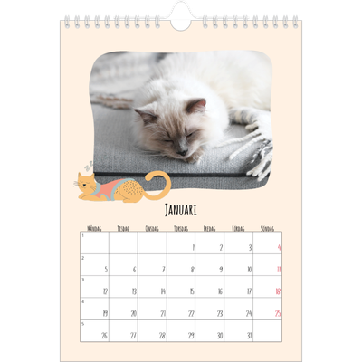 Fotokalender A4 Enkel (20 x 30 cm) — Kattassistentar och klotter [Januari]