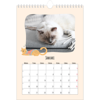 Fotokalender A4 Enkel — Kattassistentar och klotter
