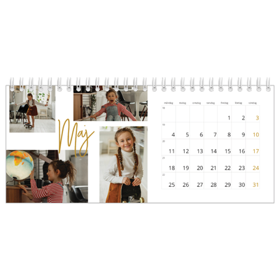 Skrivbordskalendrar — Guldstift [omslag]