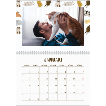 Fotokalender A3 Klassisk — Lekfull kattunge