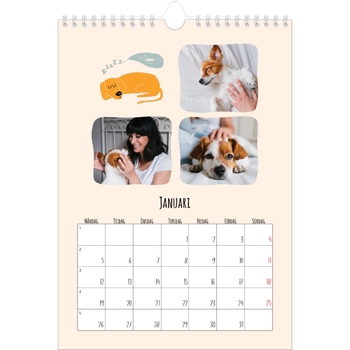 Fotokalender A4 Enkel — Hundtassar och klotter