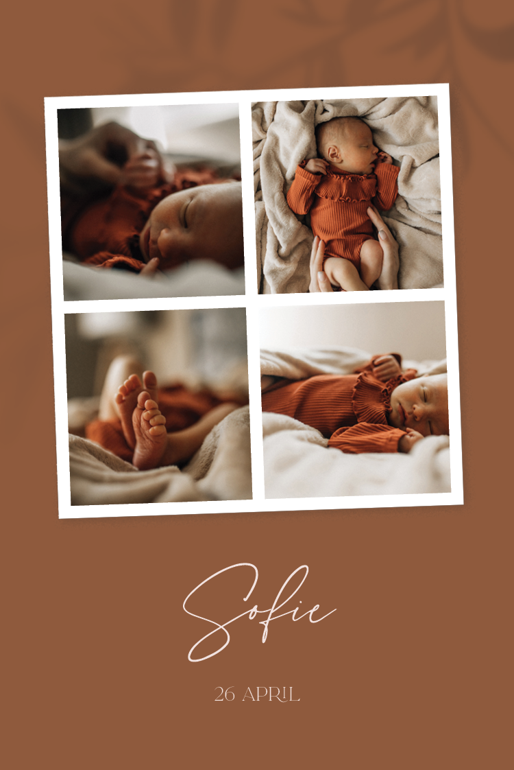 Inbjudningar — Jordnära