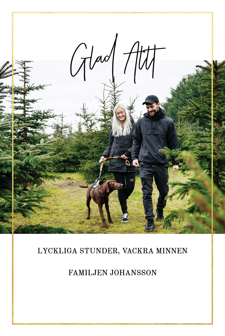 Fotokort — Tunn guldram