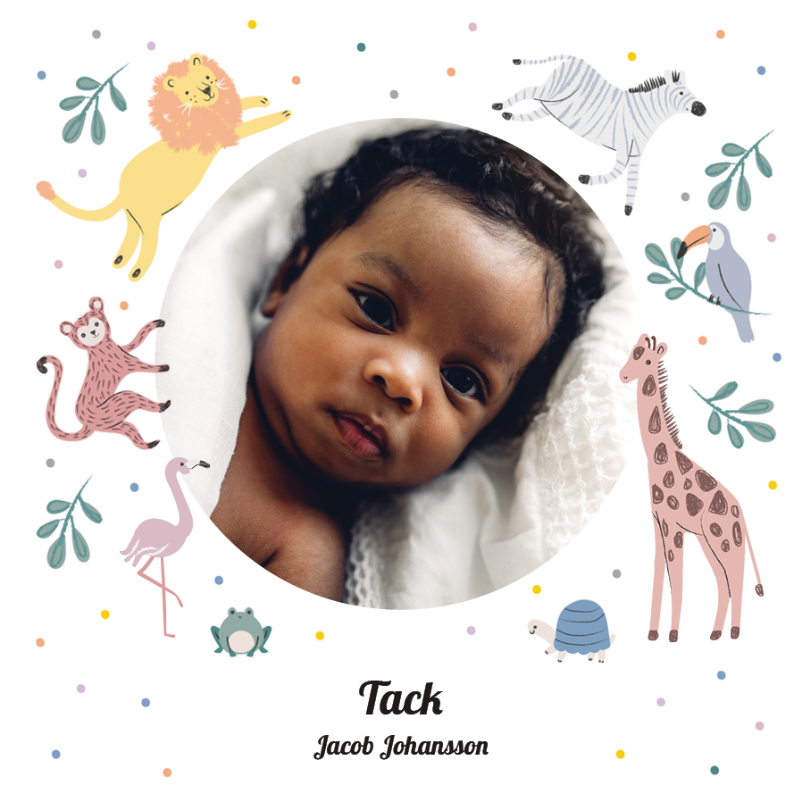 Tack — Lekfull safari