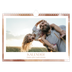 Fotokalender A4 Enkel — Borsteffekt [omslag]