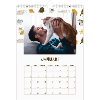 Fotokalender A4 Enkel — Lekfull kattunge