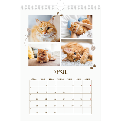 Fotokalender A4 Enkel (20 x 30 cm) — Lekfull kattunge [April]