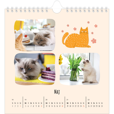 Årskalender kvadratisk — Kattassistentar och klotter [omslag]