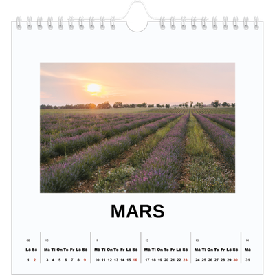 Årskalender kvadratisk — Enkel bild [Mars]