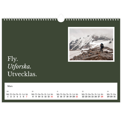 Fotokalender A3 Enkel — Redaktionell Jord [Mars]