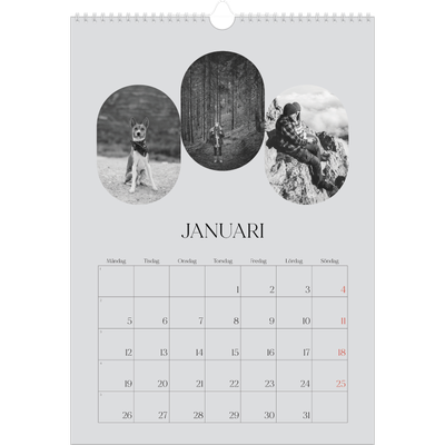 A3 Årskalender — Den öppna vägen [Januari]
