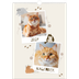 A3 Årskalender — Lekfull kattunge [omslag]