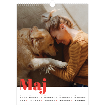 A3 Årskalender — Storslaget år [omslag]