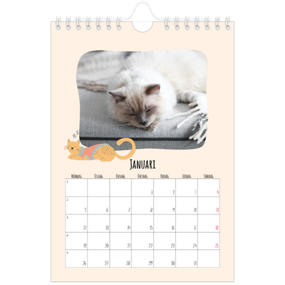 Fotokalender A5 Enkel — Kattassistentar och klotter [Januari]
