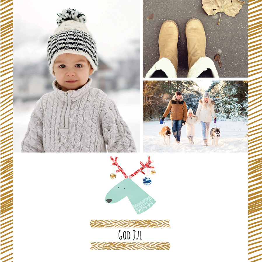 Fotokort — Roliga renar