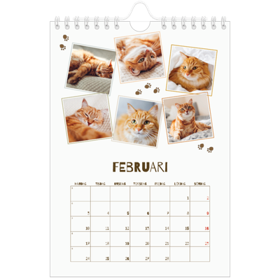 Fotokalender A5 Enkel — Lekfull kattunge [Februari]