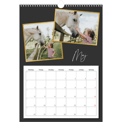A3 Årskalender — Goda minnen [omslag]