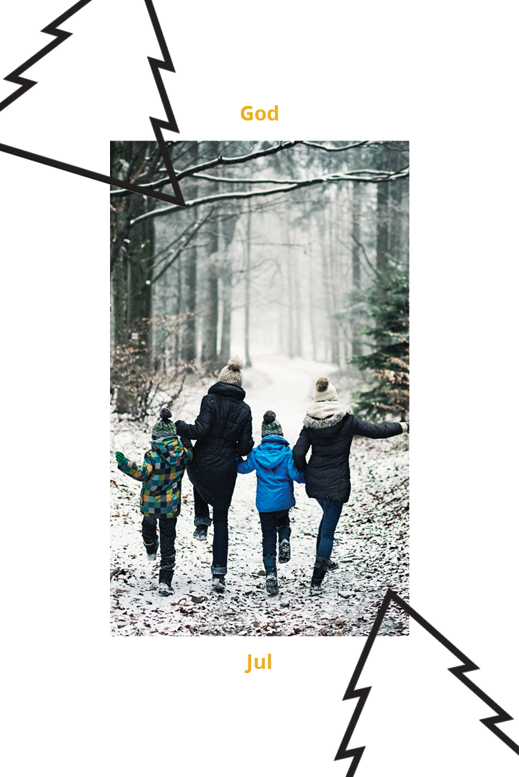 Fotokort — Två träd