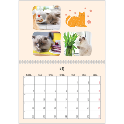 Fotokalender A3 Klassisk (30 x 40 cm) — Kattassistentar och klotter [omslag]
