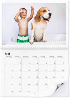 Fotokalender 21 Fotoalmanacka Snabbt Och Enkelt Onskefoto
